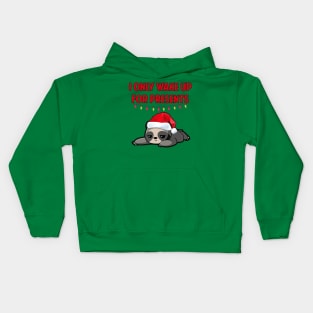 I Only Wake Up For Presents Sloth Kids Hoodie